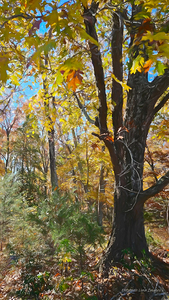 20231109 102449 studio InPixio