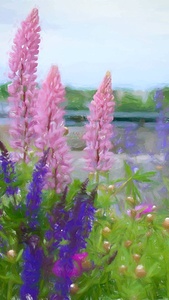 DSC 6633 1 2 studio croped