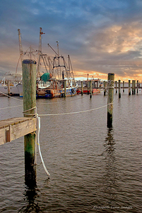 sunset 52030269851 o