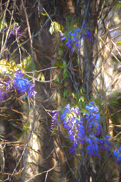 DSC 2636 studio Print