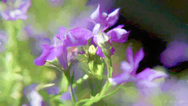 DSC 6451 1 studio Print