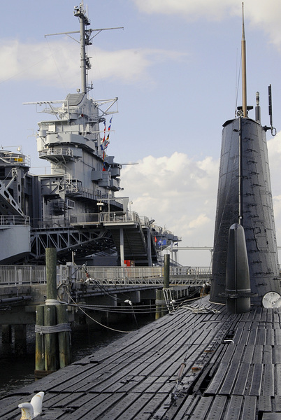 Family Photos 01 1575 Print