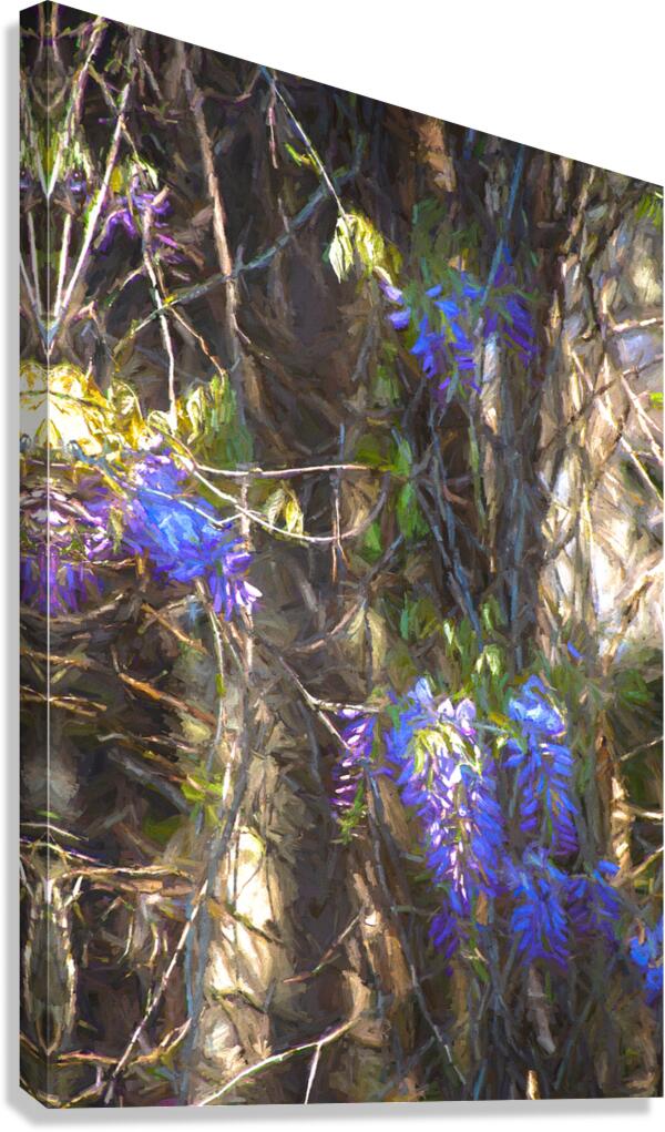 DSC 2636 studio Canvas Print