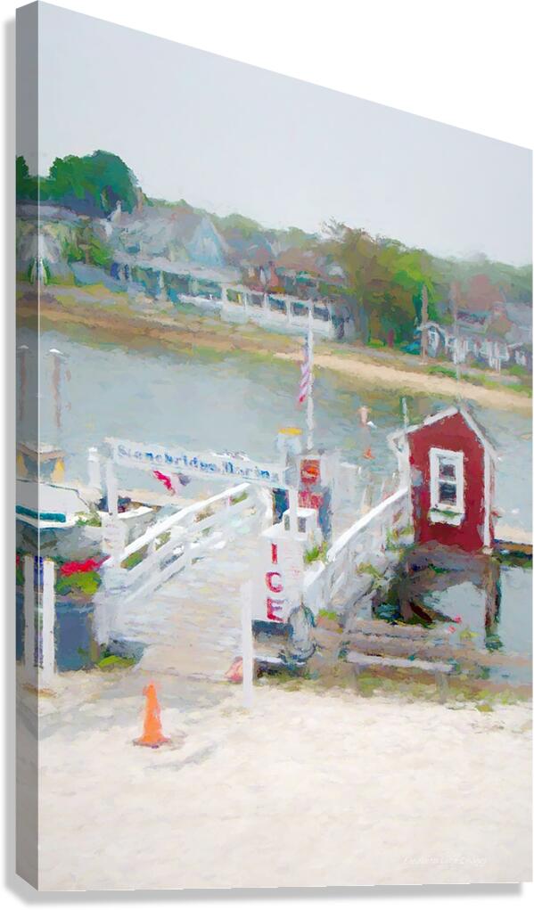 DSC 2814 1 studio Canvas Print