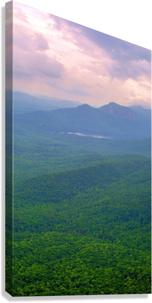 DSC 0076 Canvas Print