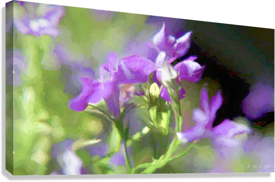 DSC 6451 1 studio Canvas Print