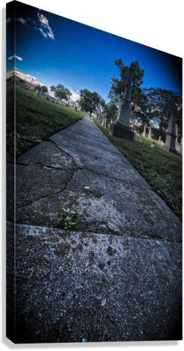 Thoughtful Path Canvas Print