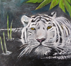 Tiger Jungle Swim