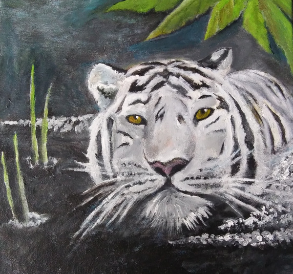Tiger Jungle Swim by Roger A Rabideau Jr