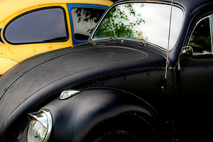 Beetles