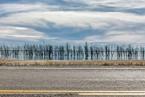 Deadmoose Lake