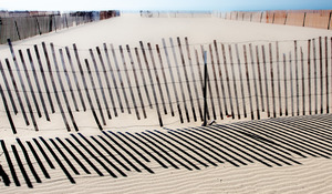 Sand Fences