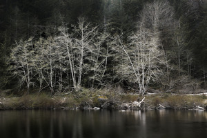 Sooke River