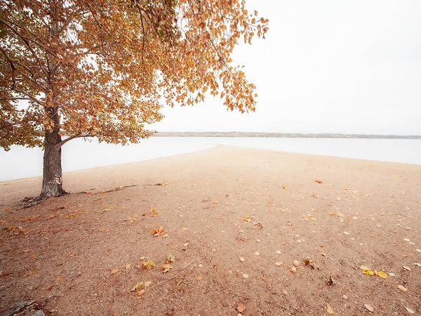 Autumn Landscape 1 Print