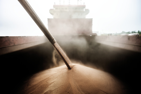 Loading Grain by Mark Schacter