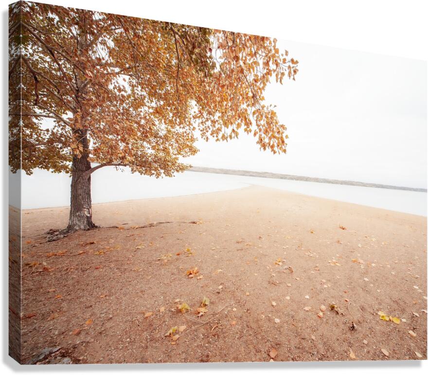 Autumn Landscape 1 Canvas Print