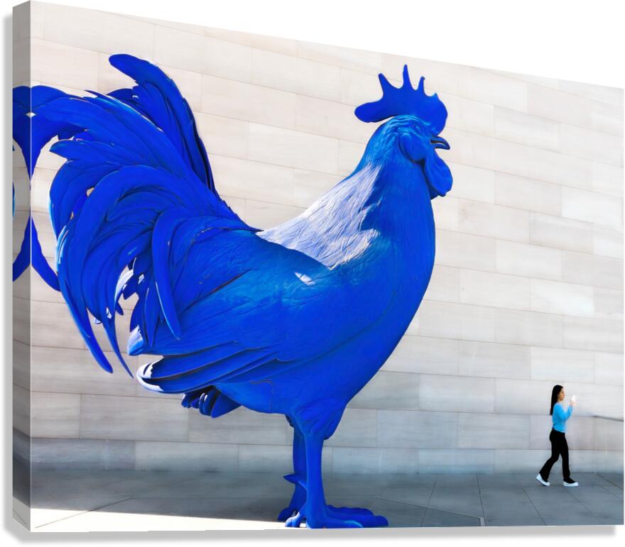 Blue Rooster Canvas Print