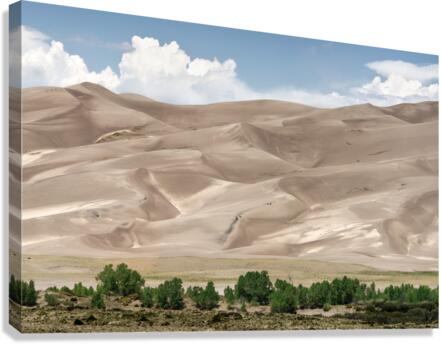 Dunes 2 Canvas Print