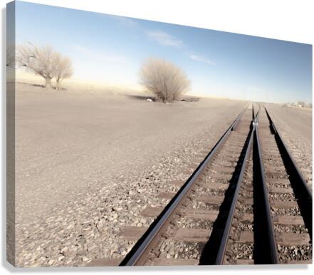 Two Tracks Canvas Print