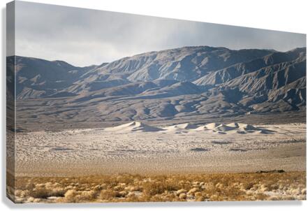 Dunes 1 Canvas Print