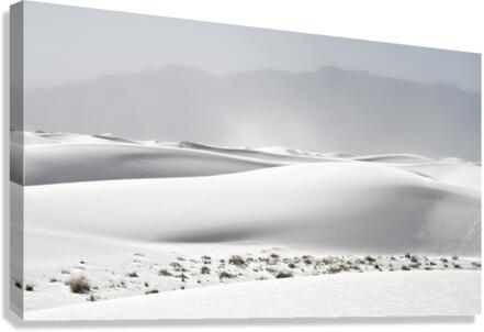 Dunes 3 Canvas Print