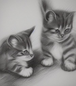 Illustration of Kittens in Pencil