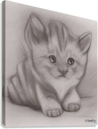 Tiger Kitten Canvas Print
