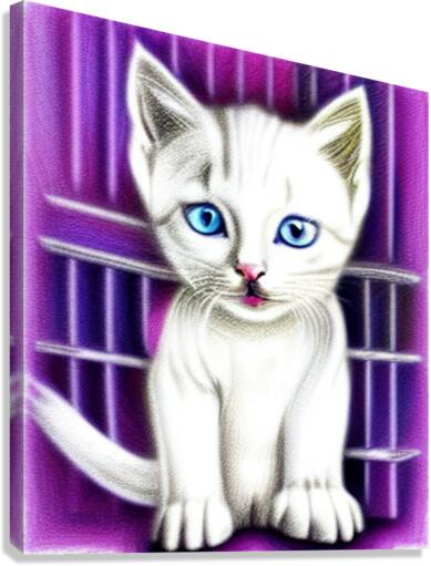 White Kitten Canvas Print