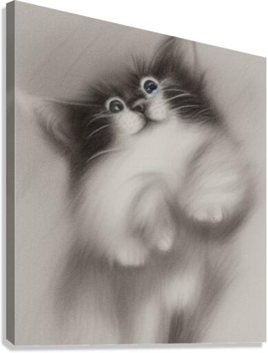 Playful cat Canvas Print