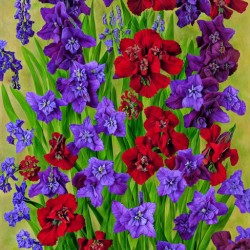 Vibrant Red Flowers