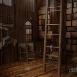 Wooden Library