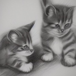 Illustration of Kittens in Pencil