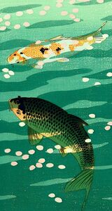 Japanese Koi fish