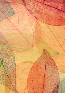 Leaves Patterns colorful leaf pattern