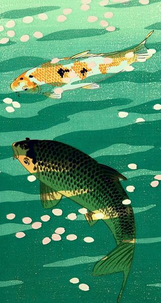 Japanese Koi fish Print