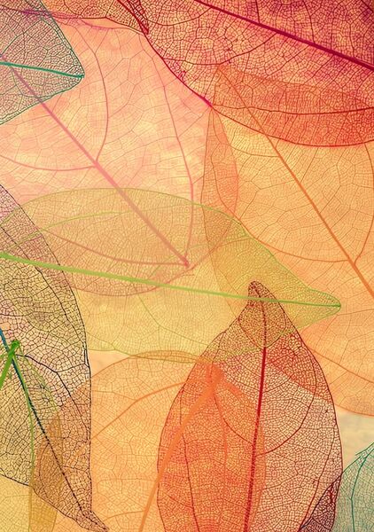 Leaves Patterns colorful leaf pattern Print