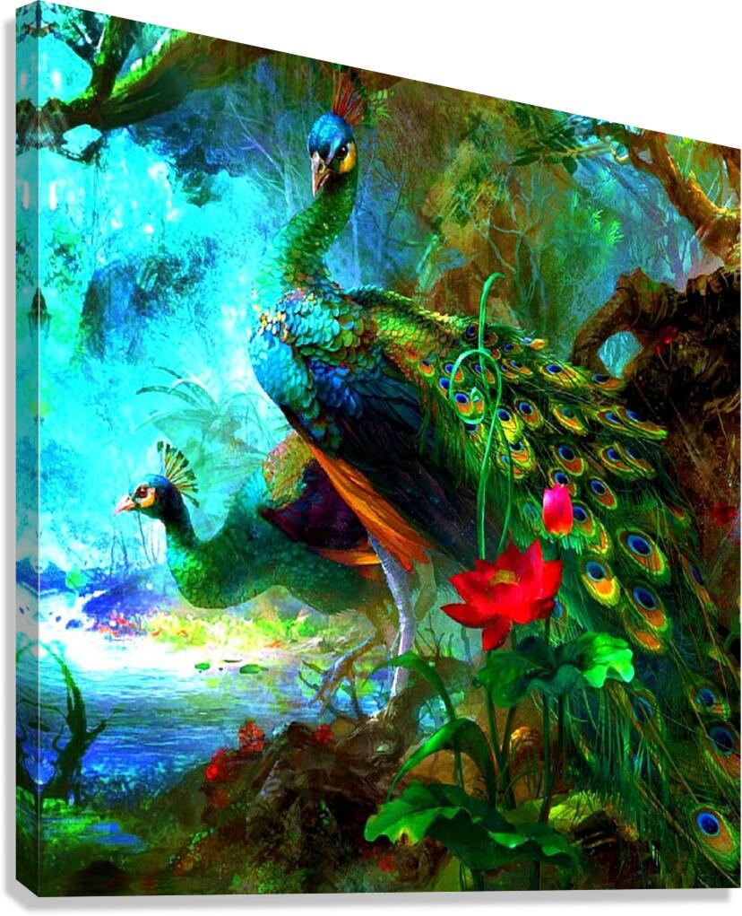 Peacock Canvas Print