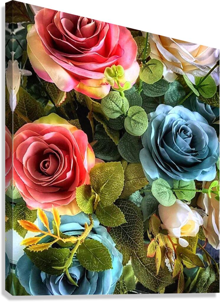 Flower roses Canvas Print