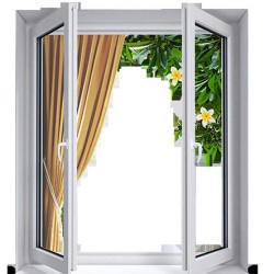 window