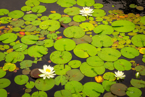 20180802 20180802 untitled 3756 Enhanced