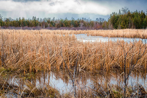 20201111 20201111 20201111 IMG 6418 Enhanced