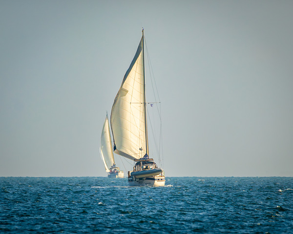 20220311 IMG 2593 Enhanced NR Print