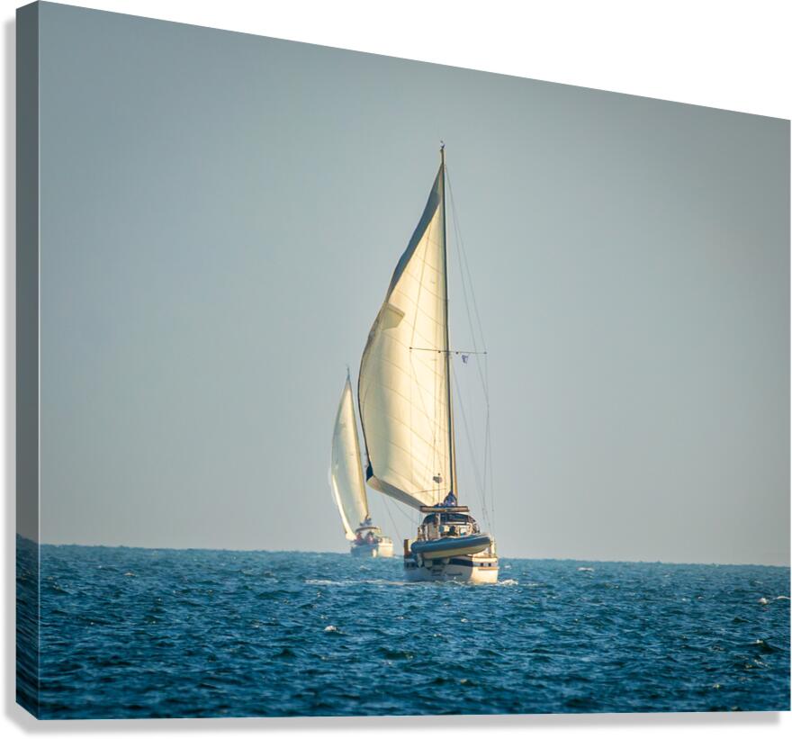 20220311 IMG 2593 Enhanced NR Canvas Print