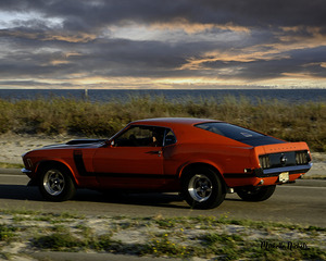 Red Mustang w Black Stripe Rear View