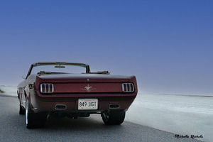 Thelma 2