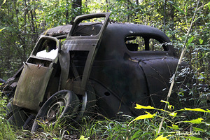 Jane and Dan s Treasure