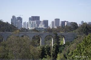 Bridge at the San Diego Zoo