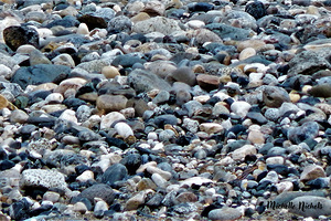 River Rocks