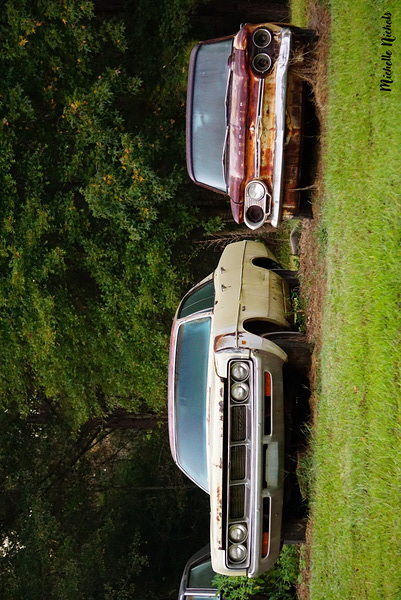 Old Cars in a Field Print