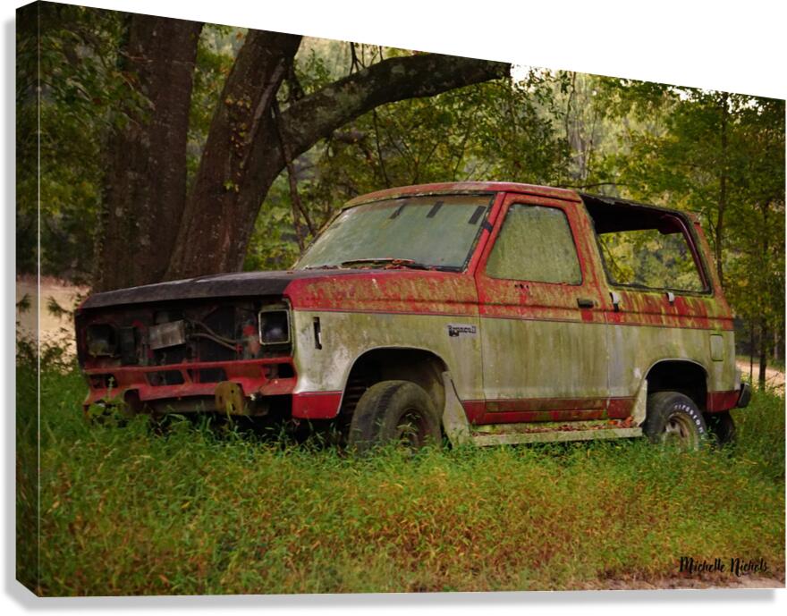 Old Bronco Canvas Print